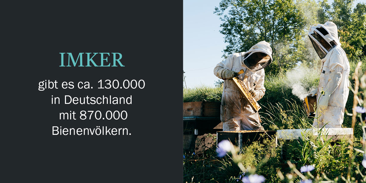 Honig Geschichten Seite 5